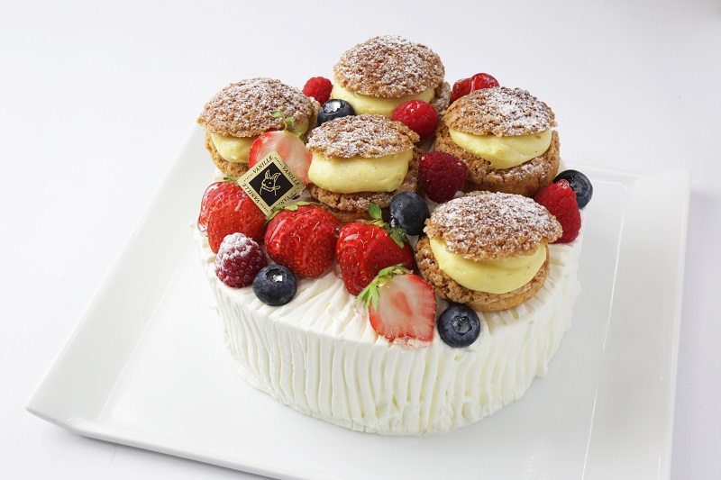 生クリームデコレーションケーキ+プチシュー